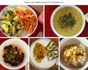 Darmkur Erfahrungsbericht - die Energiekur mit Dr. Friederike Feil Darmkur Dr. Feil 2024