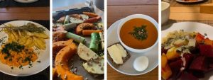 Dr. Friederike Feil Darmkur Rezepte