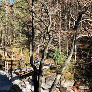 wandern_mit-hund