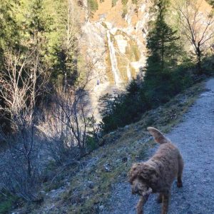 wandern_mit_doodle